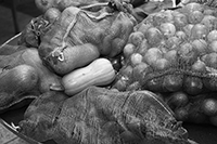 Food queues : Food lines : Hell's Kitchen : Streetlife, New York, Photo by Richard Moore